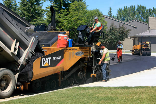 Best Professional Driveway Pavers  in Hillsboro Beach, FL